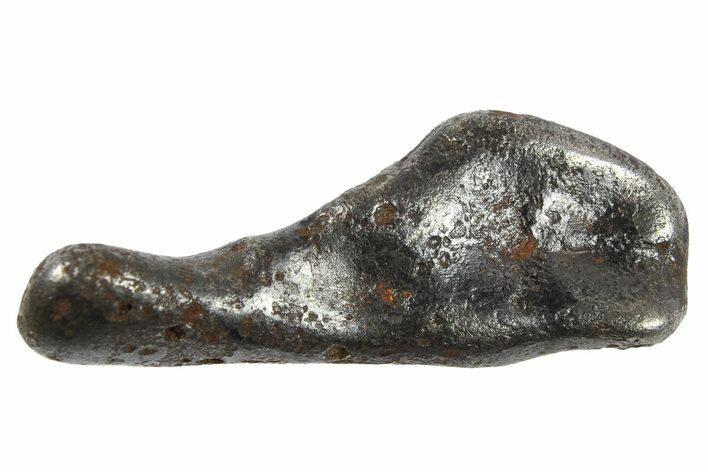 Sikhote-Alin Iron Meteorite ( g) - Russia #266710